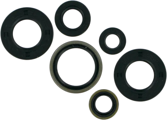 Moose Engine Oil Seal Kit