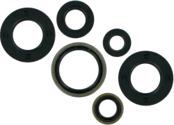 Moose Engine Oil Seal Kit