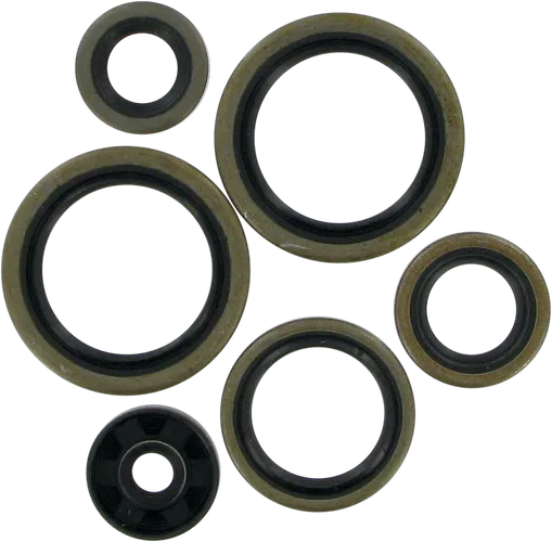 Moose Engine Oil Seal Kit