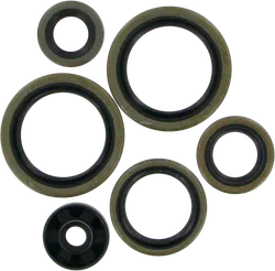 Moose Engine Oil Seal Kit