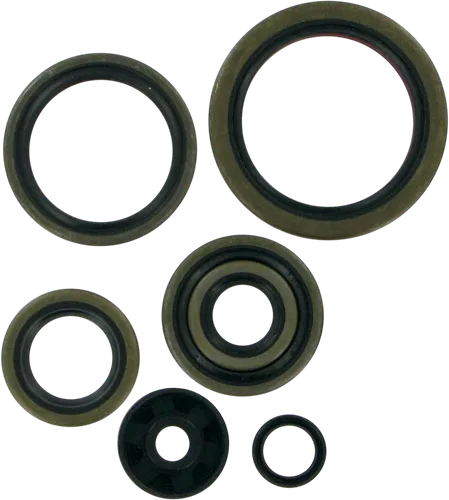 Moose Engine Oil Seal Kit