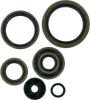 Moose Engine Oil Seal Kit
