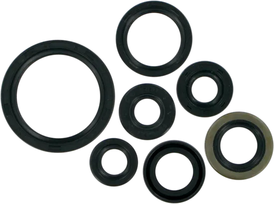 Moose Engine Oil Seal Kit