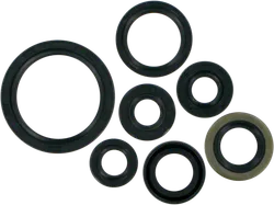Moose Engine Oil Seal Kit
