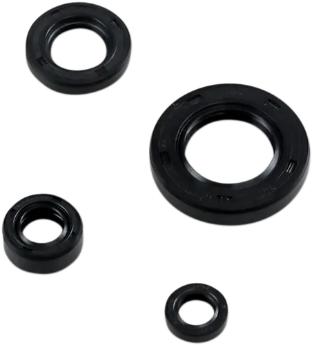 Moose Engine Oil Seal Kit