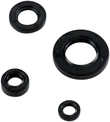 Moose Engine Oil Seal Kit