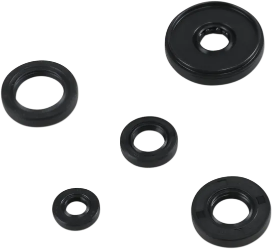 Moose Engine Oil Seal Kit