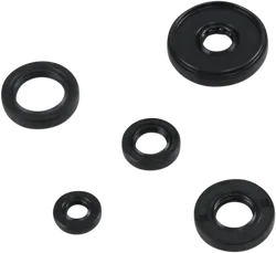 Moose Engine Oil Seal Kit