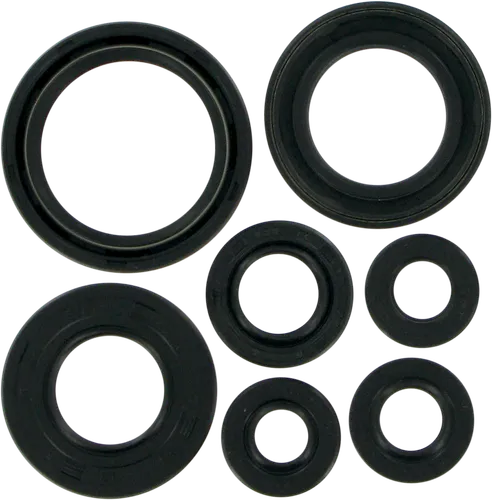 Moose Engine Oil Seal Kit