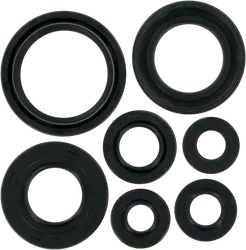Moose Engine Oil Seal Kit