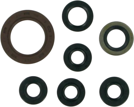 Moose Engine Oil Seal Kit