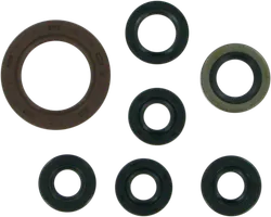 Moose Engine Oil Seal Kit