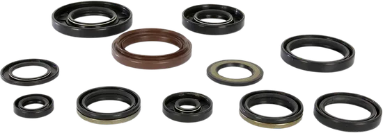 Moose Engine Oil Seal Kit