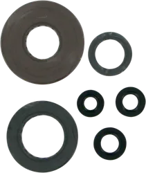 Moose Engine Oil Seal Kit