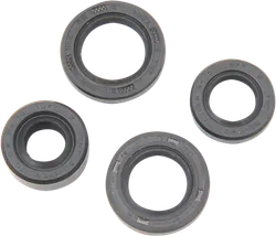 Moose Engine Oil Seal Kit
