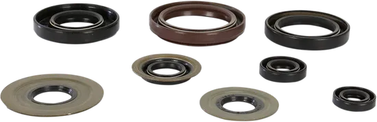 Moose Engine Oil Seal Kit