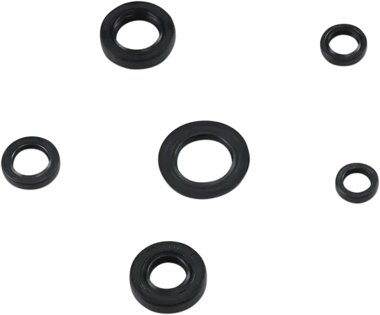 Moose Engine Oil Seal Kit