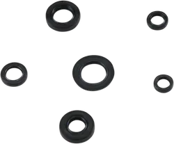 Moose Engine Oil Seal Kit