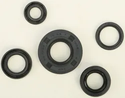 Vertex Oil Seal Kit