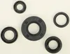 Vertex Oil Seal Kit