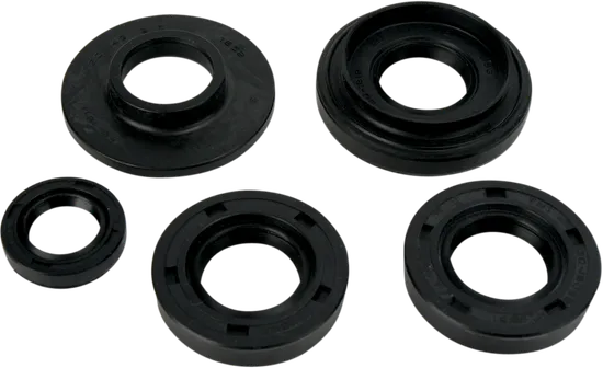 Moose Engine Oil Seal Kit