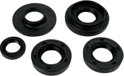 Moose Engine Oil Seal Kit