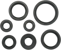 Moose Engine Oil Seal Kit