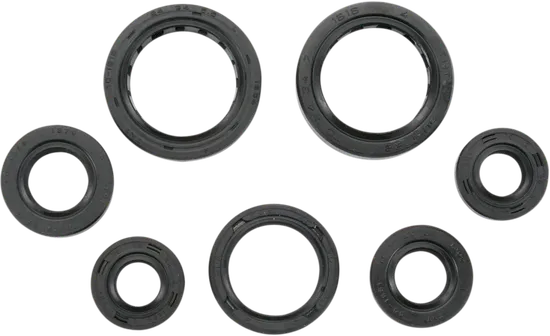 Moose Engine Oil Seal Kit