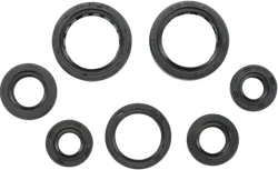 Moose Engine Oil Seal Kit