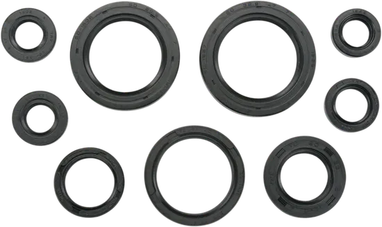 Moose Engine Oil Seal Kit