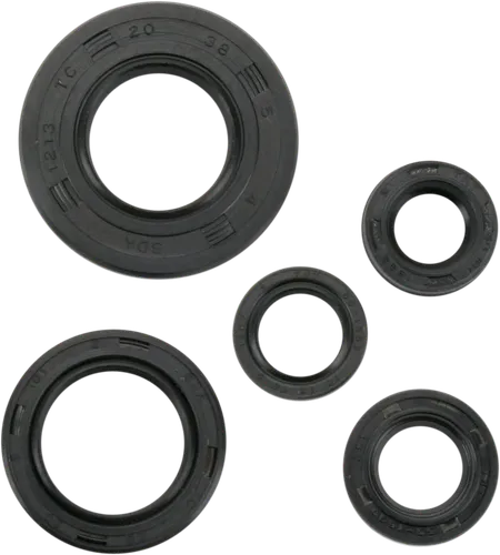 Moose Engine Oil Seal Kit