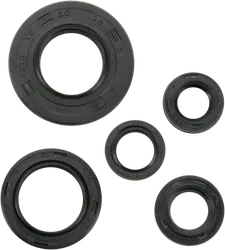 Moose Engine Oil Seal Kit