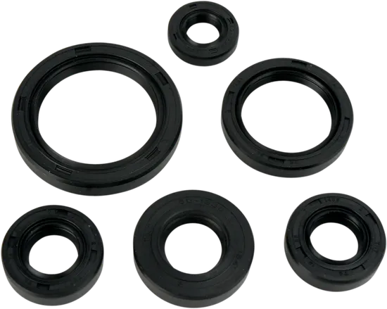 Moose Engine Oil Seal Kit 1