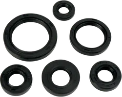 Moose Engine Oil Seal Kit