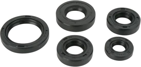 Moose Engine Oil Seal Kit