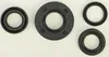 Vertex Oil Seal Kit