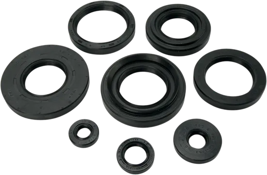 Moose Engine Oil Seal Kit