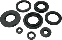 Moose Engine Oil Seal Kit
