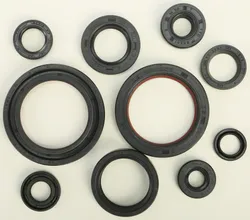 Vertex Oil Seal Kit