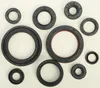Vertex Oil Seal Kit
