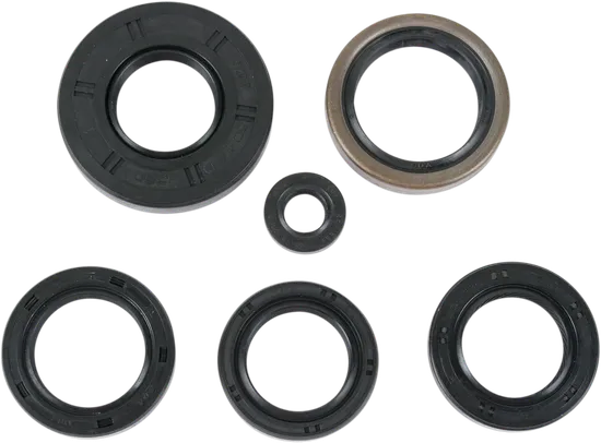 Moose Engine Oil Seal Kit