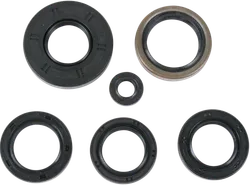 Moose Engine Oil Seal Kit