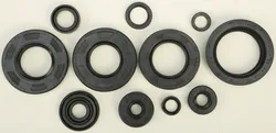 Vertex Oil Seal Kit