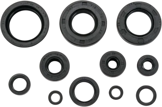 Moose Engine Oil Seal Kit