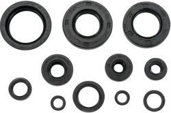 Moose Engine Oil Seal Kit