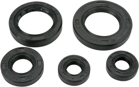 Moose Engine Oil Seal Kit