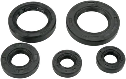 Moose Engine Oil Seal Kit