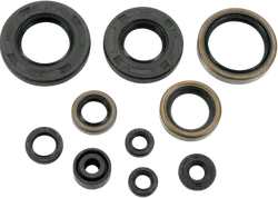 Moose Engine Oil Seal Kit