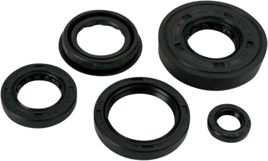 Moose Engine Oil Seal Kit