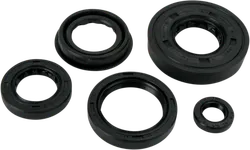 Moose Engine Oil Seal Kit